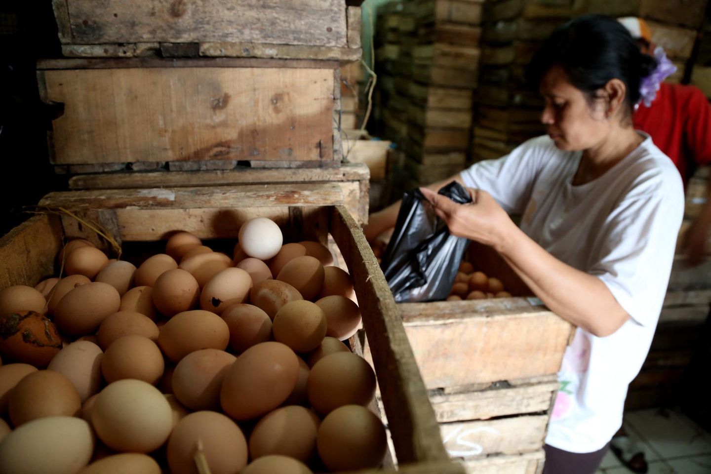 Stimulus Fiskal Perlu Tumbuhkan Sektor Produktif