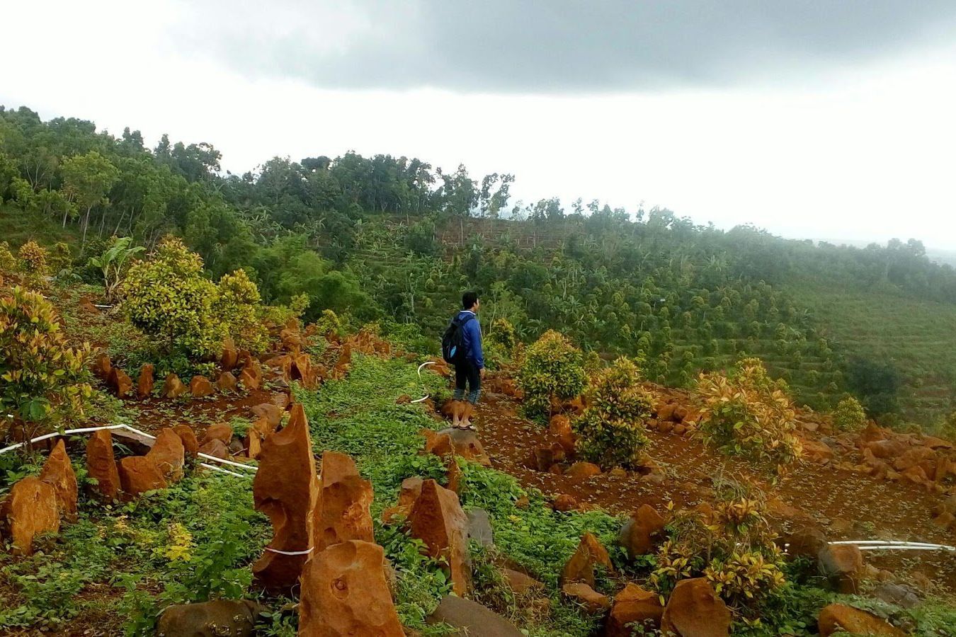 Tempat Wisata di Nganjuk, Cocok untuk Habiskan Akhir Pekan