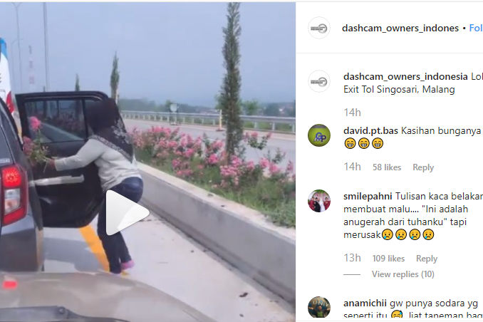 Emak-emak Ambil Tanaman di Tol, Bikin Heboh Warganet