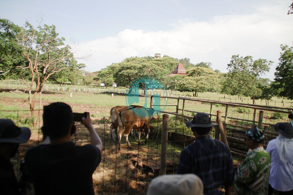 Berkunjung ke TN Baluran, Komisi IV DPR RI Minta Tetap Lestarikan Banteng