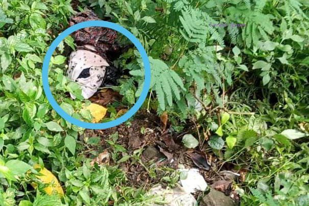 Pelintas di Jalur Wisata Pacet Digegerkan Temuan Bayi Terbungkus Jarik di Jurang