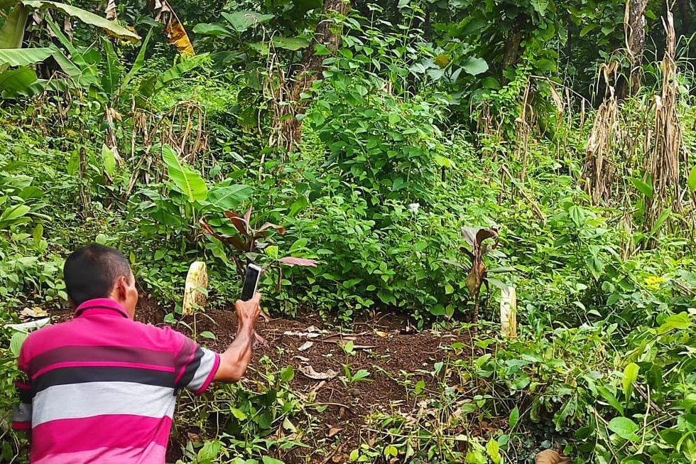 Makam Misterius di Tengah Hutan Lebakjagung Mojokerto Masih Diselidiki