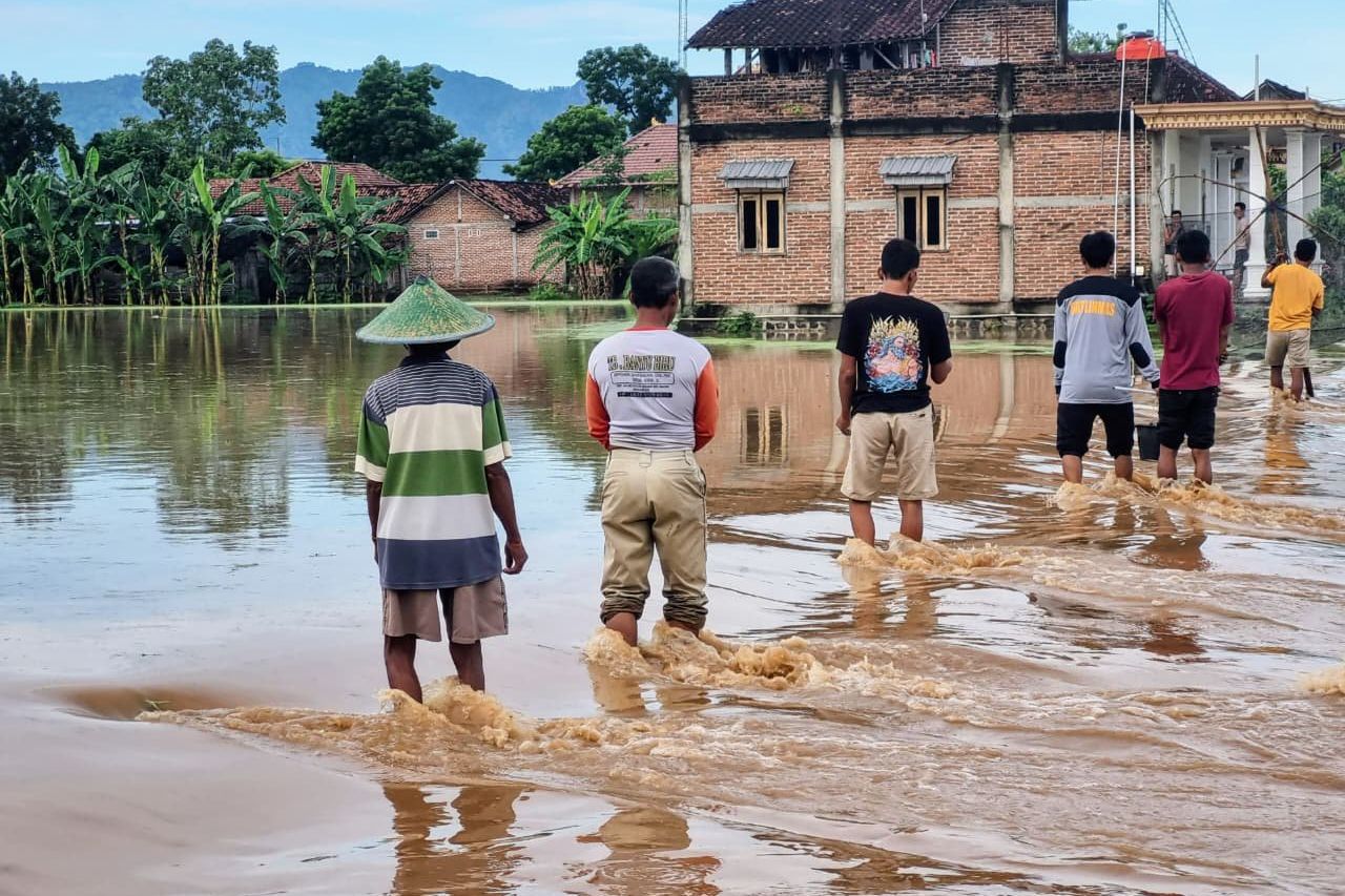 Puluhan Hektare Sawah di Ponorogo Terendam Banjir, Padi Terancam Gagal Panen