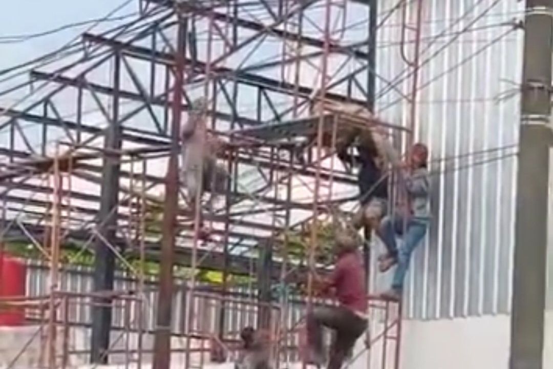 Proyek KDMP Tawangsari Mojokerto Merenggut Korban, Kodim Bersikap