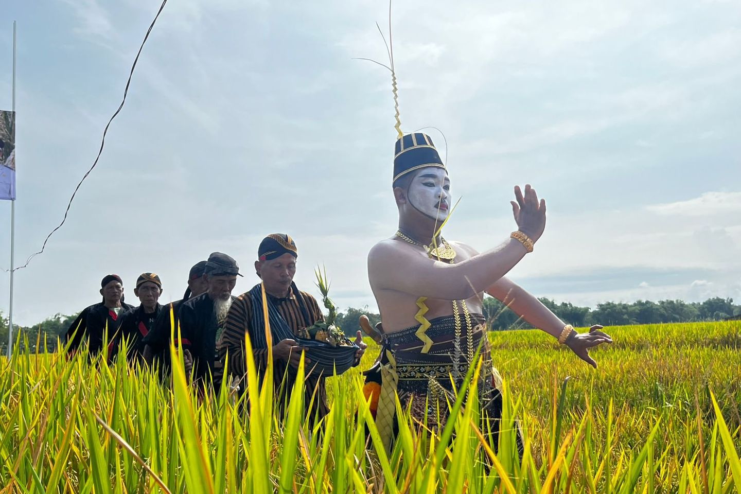 Melihat Methik Pari di Ponorogo, Warisan Budaya yang Sarat Nilai Filosofis