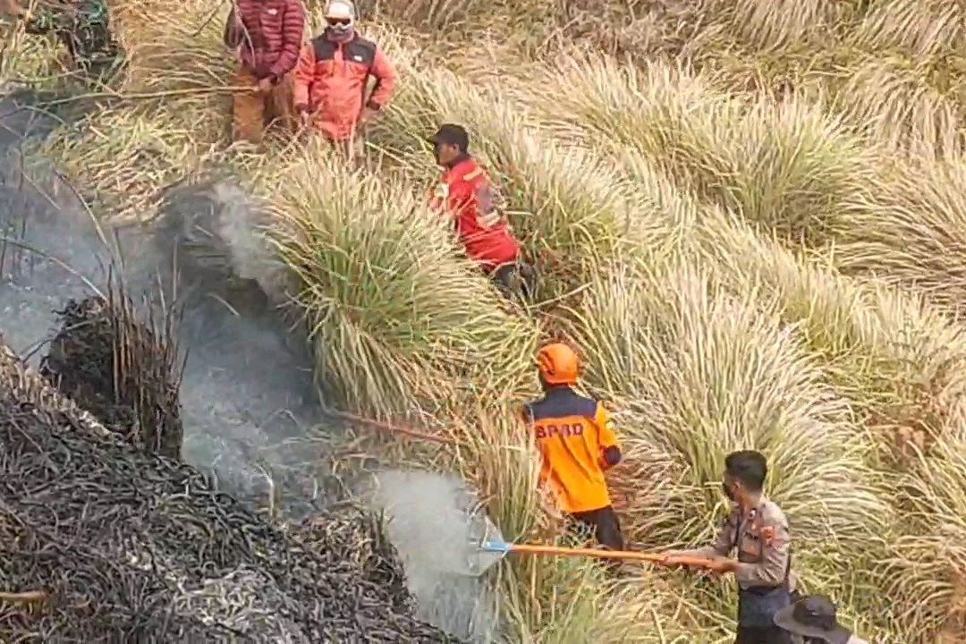 Kebakaran TNBTS Meluas, Wisata Gunung Bromo Ditutup Total Mulai Hari Ini