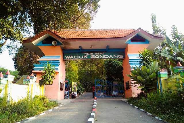 Perawatan Tak Layak, BBKSDA Ambil Alih Satwa di Wisata Waduk Gondang Lamongan