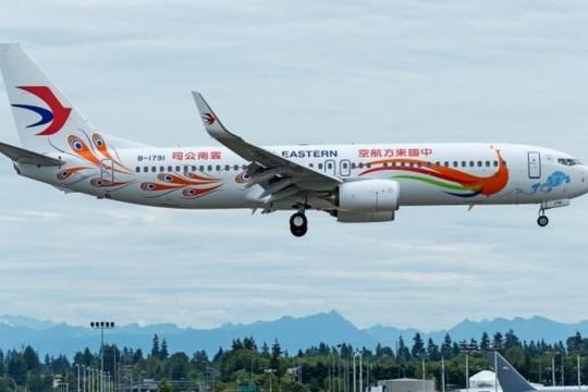 Penyebab Jatuhnya Pesawat di Cina Masih Diselidiki