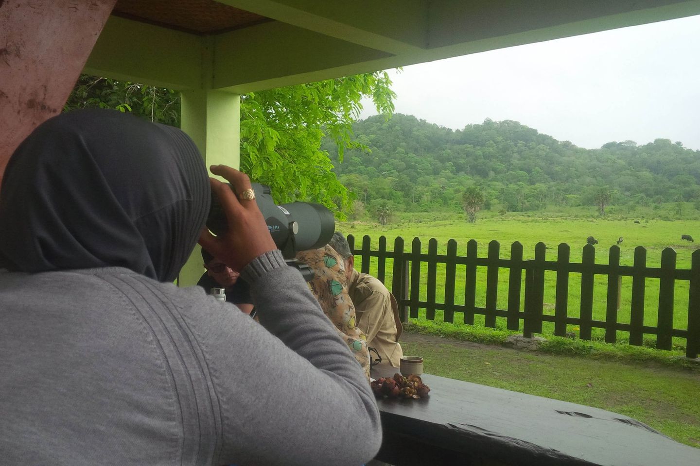 TN Alas Purwo Akan Kembangkan Wildlife Research Station