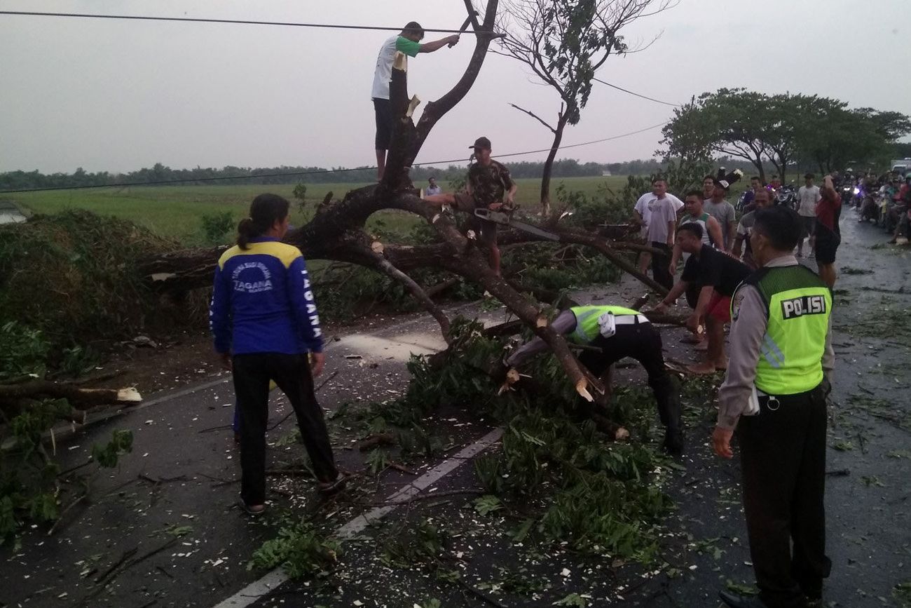 Angin Kencang Landa Madiun, Sejumlah Rumah Rusak
