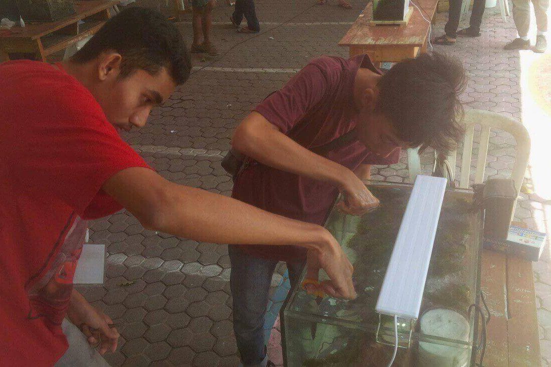 Pelajar Banyuwangi Sanggup Beli <em>Smartphone</em> dari Hobi Desain Aquaspace
