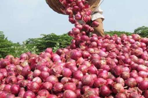 Harga Bawang Merah Diprediksi Normal pada Awal Tahun