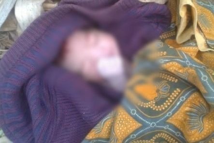 Bayi Malang Dibuang di Kebun Pisang