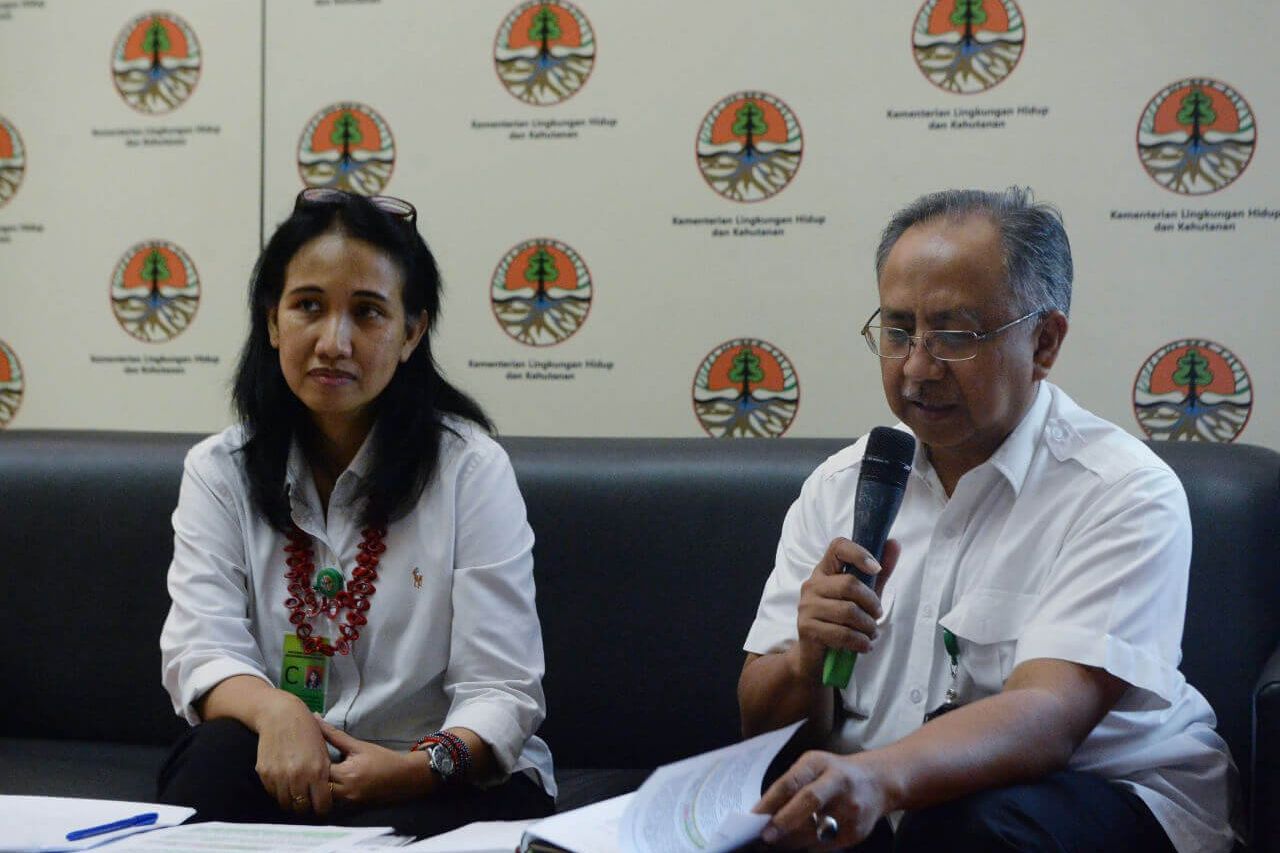Dunia Internasional Apresiasi Penurunan Angka Deforestasi di Indonesia