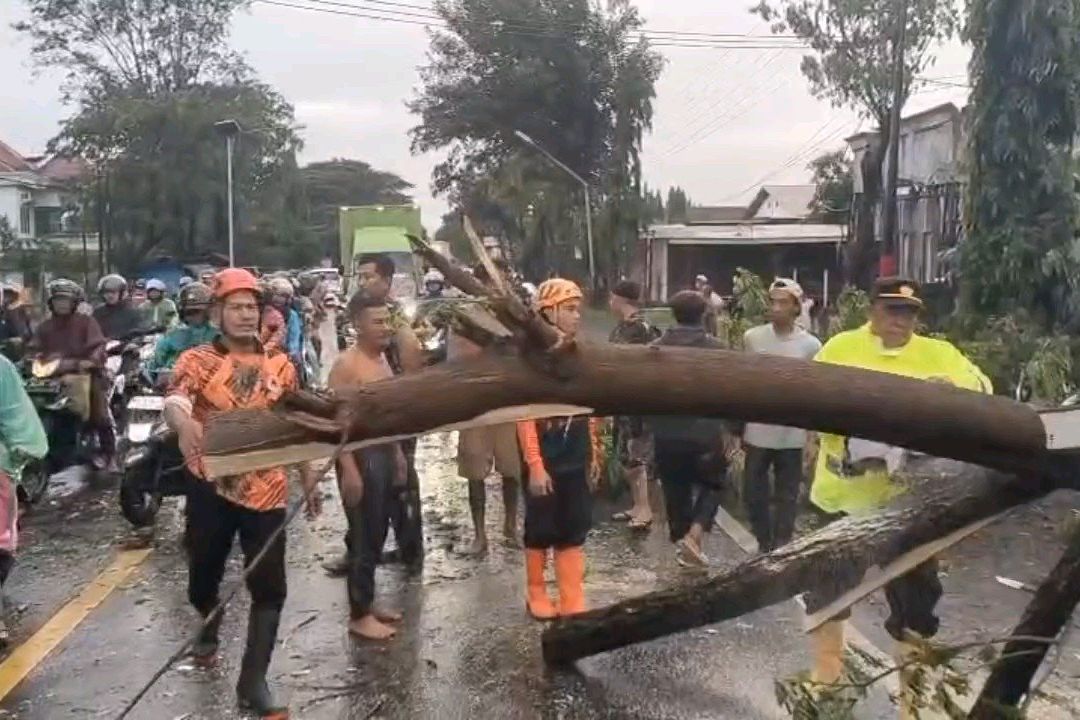 Probolinggo Dilanda Hujan dan Angin Kencang, BPBD Catat Sejumlah Dampak Bencana