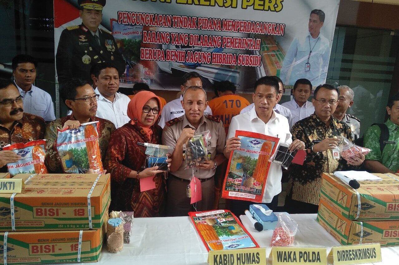 Polda Jatim Tangkap Tiga Pelaku Penjual Benih Jagung Bersubsidi