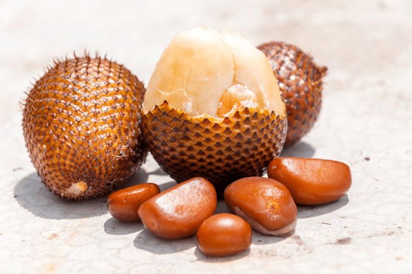 Mahasiswa UB Kembangkan Biji Buah Salak untuk Bahan Kosmetik