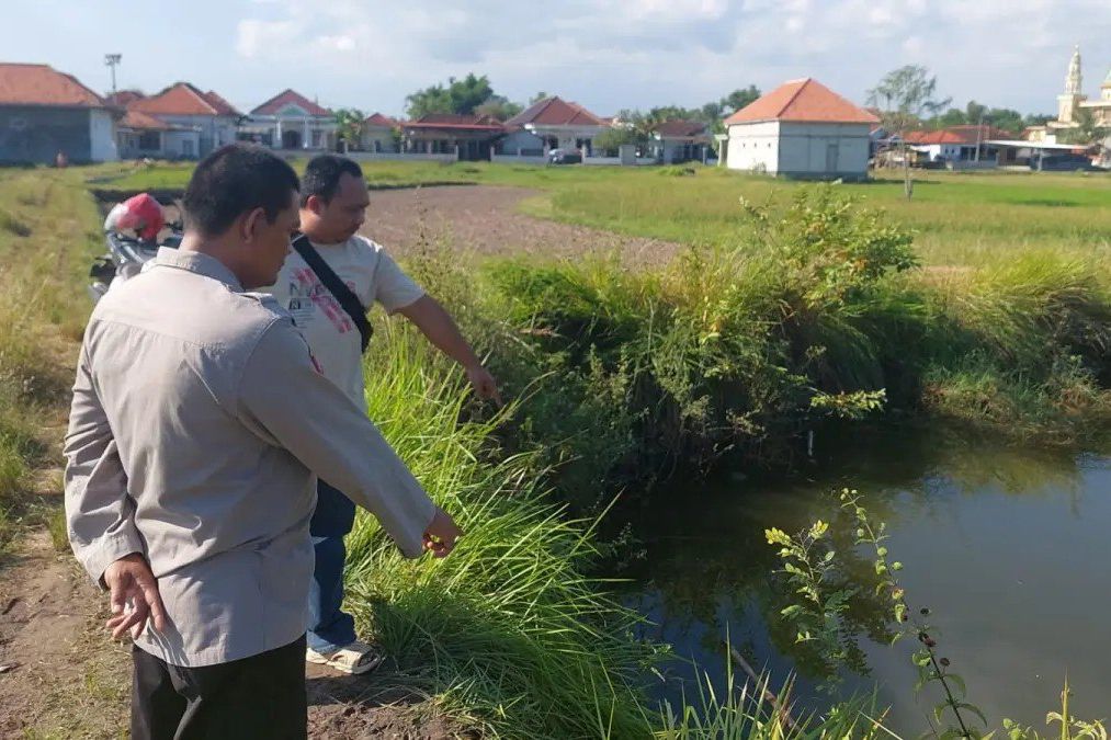 Tiga Bocah Kakak Beradik di Sampang Tewas Akibat Tenggelam di Embung 