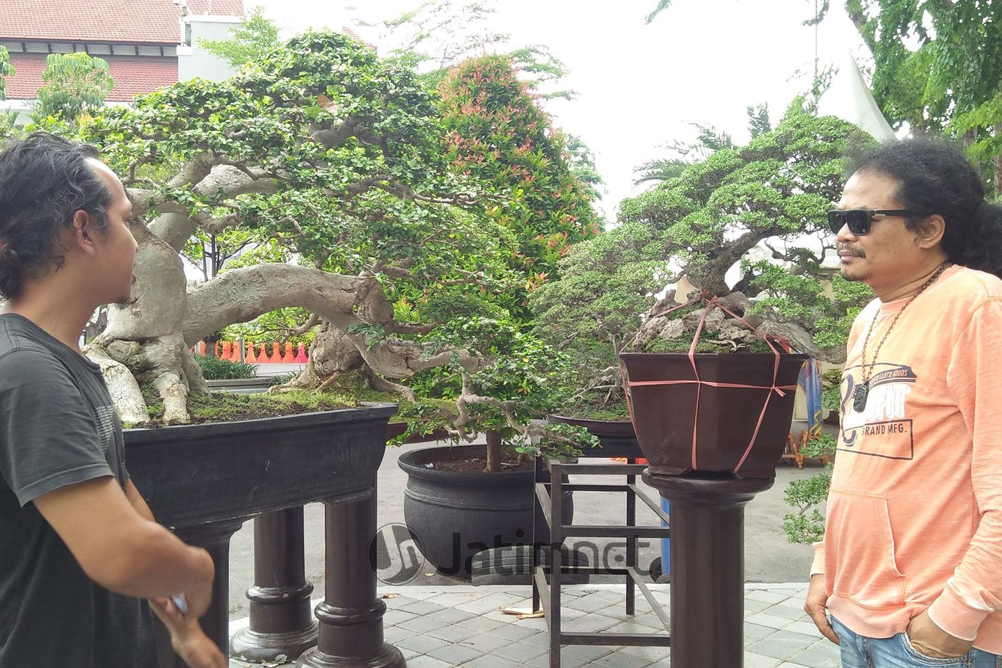 Cara Rubi Memperkenalkan Bonsai di Surabaya