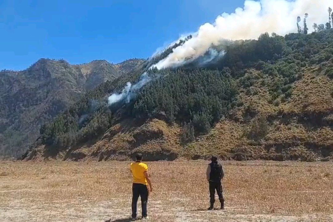 Bromo Terbakar Lagi! Kobaran Api Mendekati Permukiman dan Penginapan