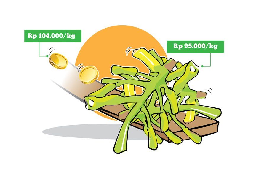 Harga Cengkih di Sulut Terbanting 8,6 Persen