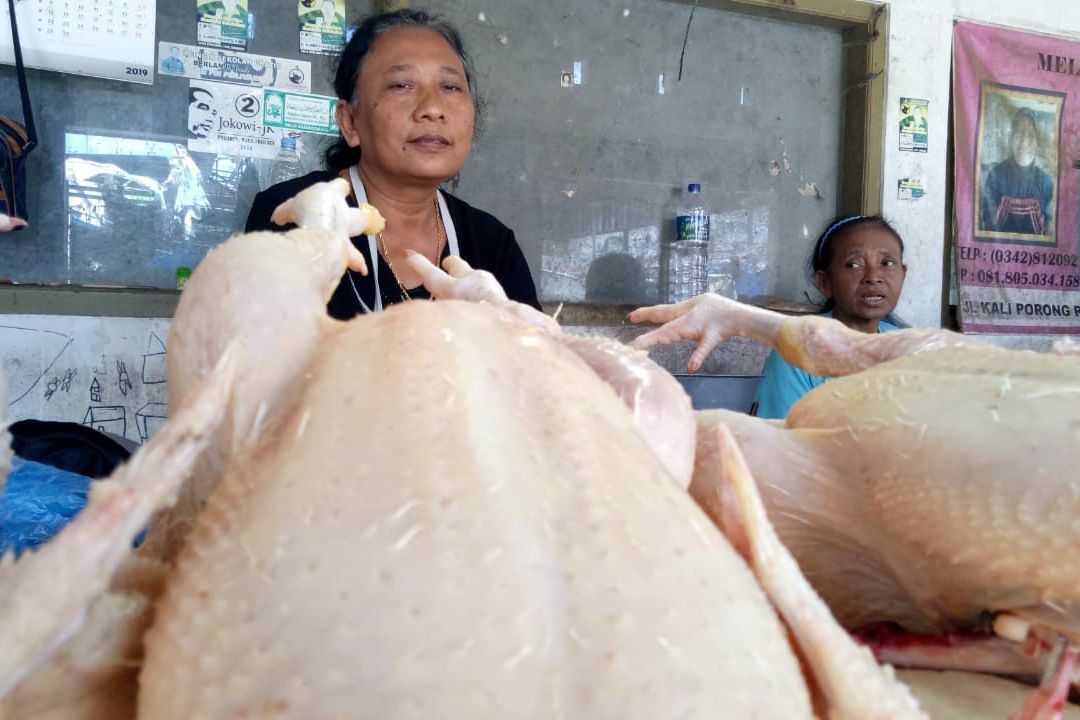 Jelang Ramadan, Harga Daging Ayam di Blitar Merangkak Naik