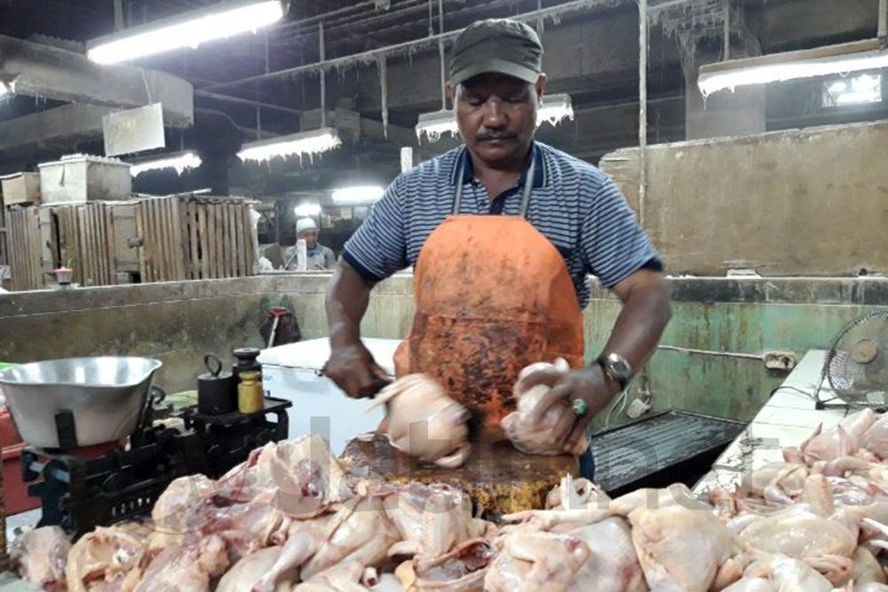 Peternak Ayam Butuh Peran Ombudsman