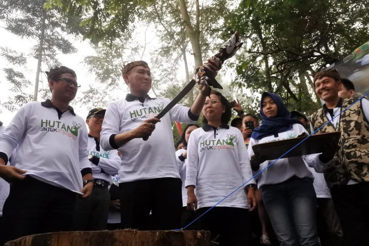 Optimalisasi Hutan Kritis Tingkatkan Kualitas Air 