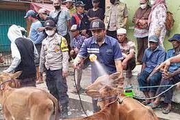 Tangani PMK, Kementan Realokasi Anggaran Rp 180,78 Miliar