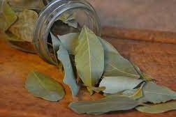 Ini Manfaat Daun Salam Selain Sebagai Penyedap Masakan