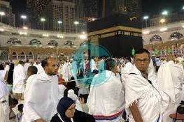 14 Jemaah Haji Asal Indonesia Wafat Saat Fase Puncak Haji