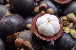 Jatim Jajaki Potensi Ekpor Buah Manggis ke Australia