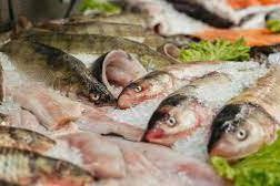 Rajin Memakan Ikan, Salah Satu Cara Mencegah Stunting