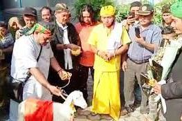 Kisruh Manusia Nikahi Kambing, Kemenag : Hormati Sakralitas