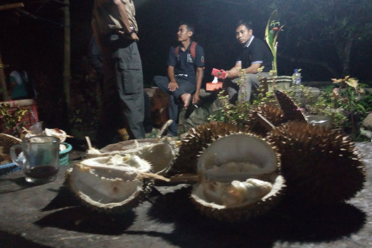 Menikmati Aneka dan Cita Rasa Durian di Banyuwangi