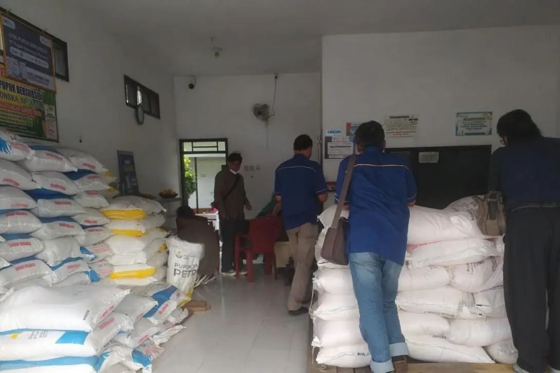 Stok Pupuk Subsidi Urea di Kabupaten Probolinggo Tersisa 55,28 Persen dan NPK 67,87 Persen

 
