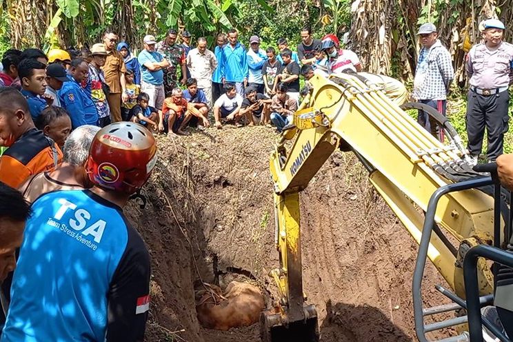 Sapi Warga Dlanggu Terjebur ke Sumur, Evakuasi Berlangsung Empat Jam