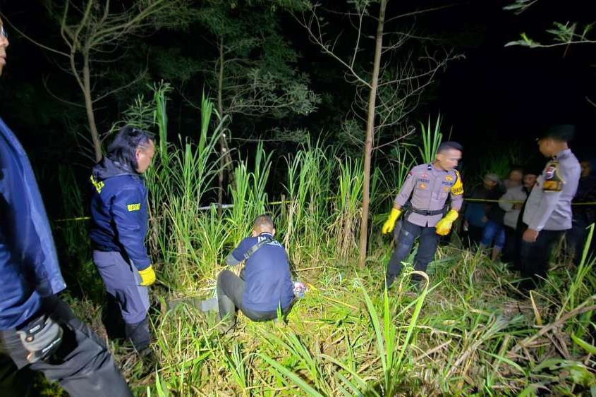 Jenazah Pencari Rumput Ditemukan di Hutan Sumber Probolinggo