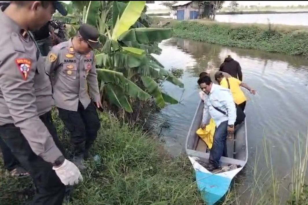 Mayat Pria 80 Tahun Ditemukan Mengambang di Tambak Widang Tuban