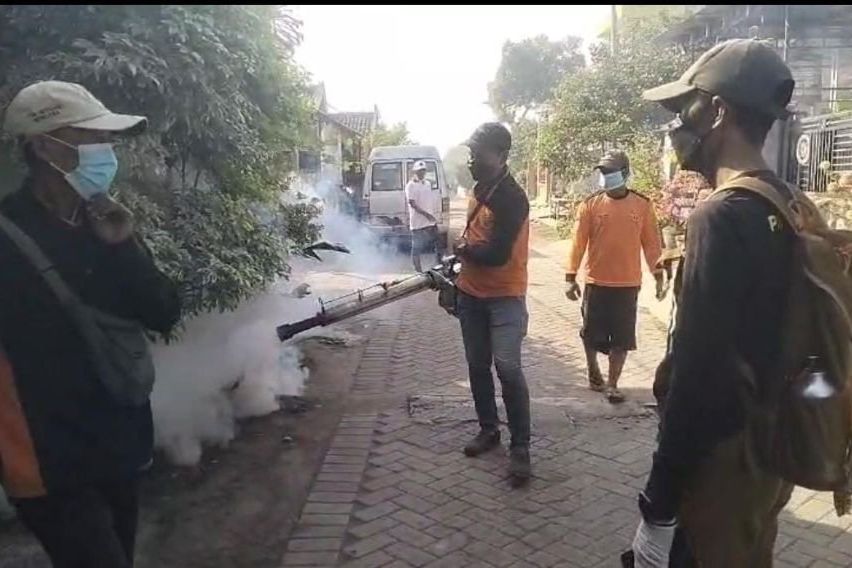 Empat Warga Purworejo Mojokerto Terserang DBD
