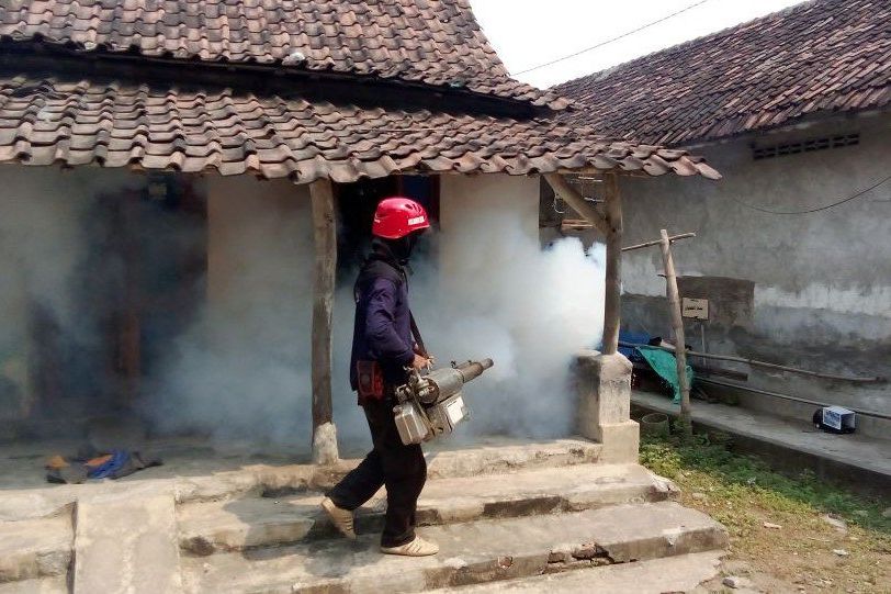 Serangan DBD di Kabupaten Mojokerto Meluas