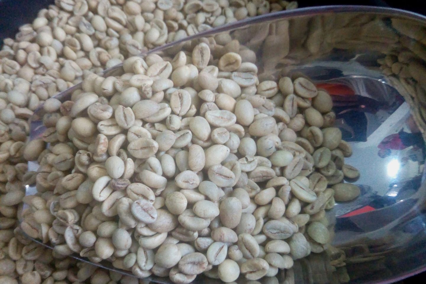 Kopi Indonesia Mendapat Perhatian dalam World Coffee di Jerman