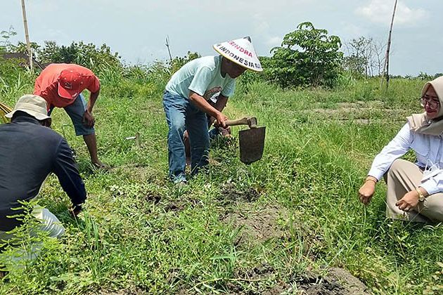 DPRD Gresik Upayakan Solusi Pupuk Subsidi dan Banjir Luapan Kali Lamong Untuk Petani