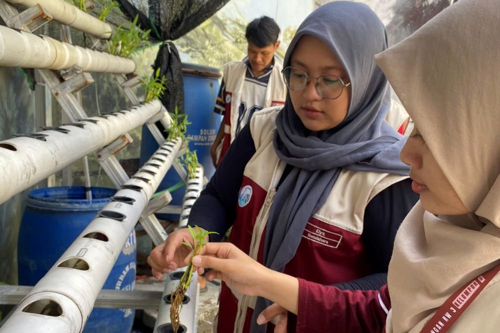 Tak Sekadar Menanam, Warga Krembangan Diajak Olah Hasil Hidroponik