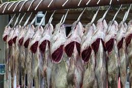 Tangkapan Ikan Menurun, DKP Jatim Sarankan Nelayan ke Budidaya