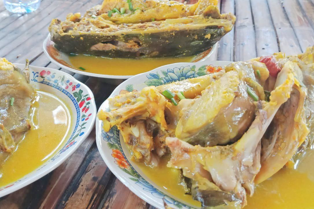 Menikmati Kelan Kuning Sembilang di Tepi Tambak Gresik