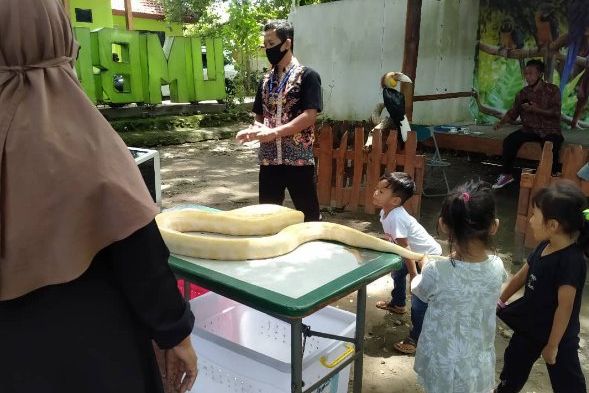 BKSDA Wilayah I Madiun Tunggu Lima Satwa yang Dijual MUS Dikembalikan