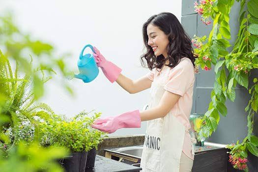 Tips Mudah Merawat Tanaman Hias di Rumah