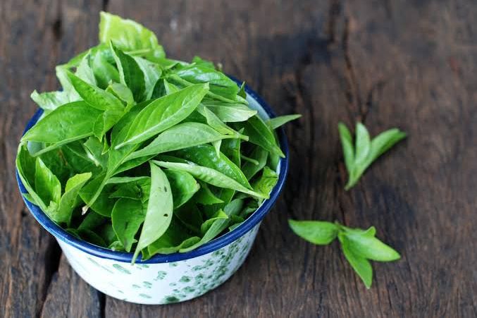 Manfaat Daun Kemangi, Kurangi Stres hingga Turunkan Gula Darah