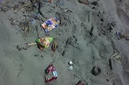 Gandeng Sejumlah Pihak, KKP Kumpulkan 1,4 Ton Sampah di Pantai Teleng Ria Pacitan